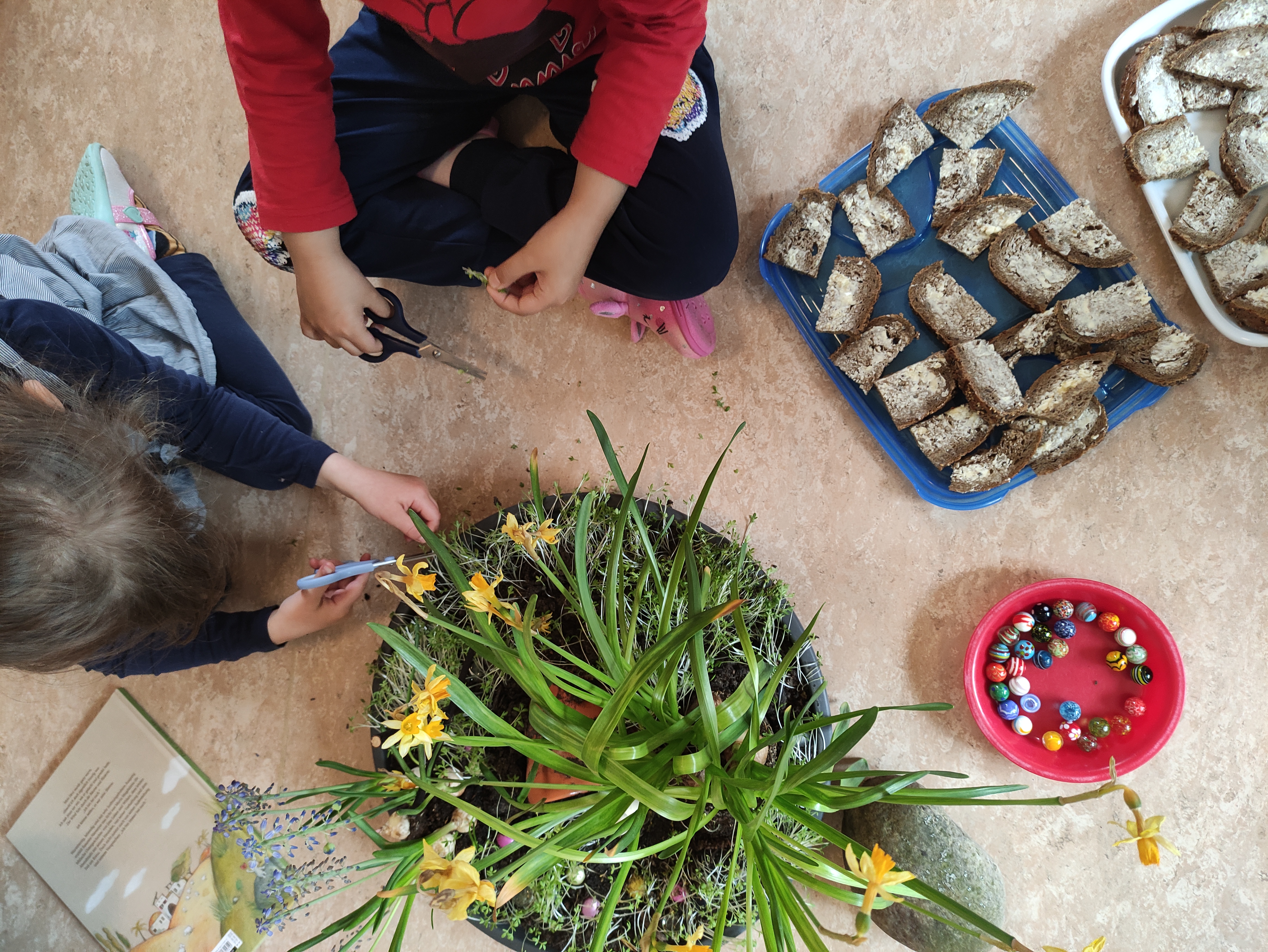 Aufgeschlagenes Buch, die Seiten sind unscharf zu erkennen. Das Licht fällt von links ein.