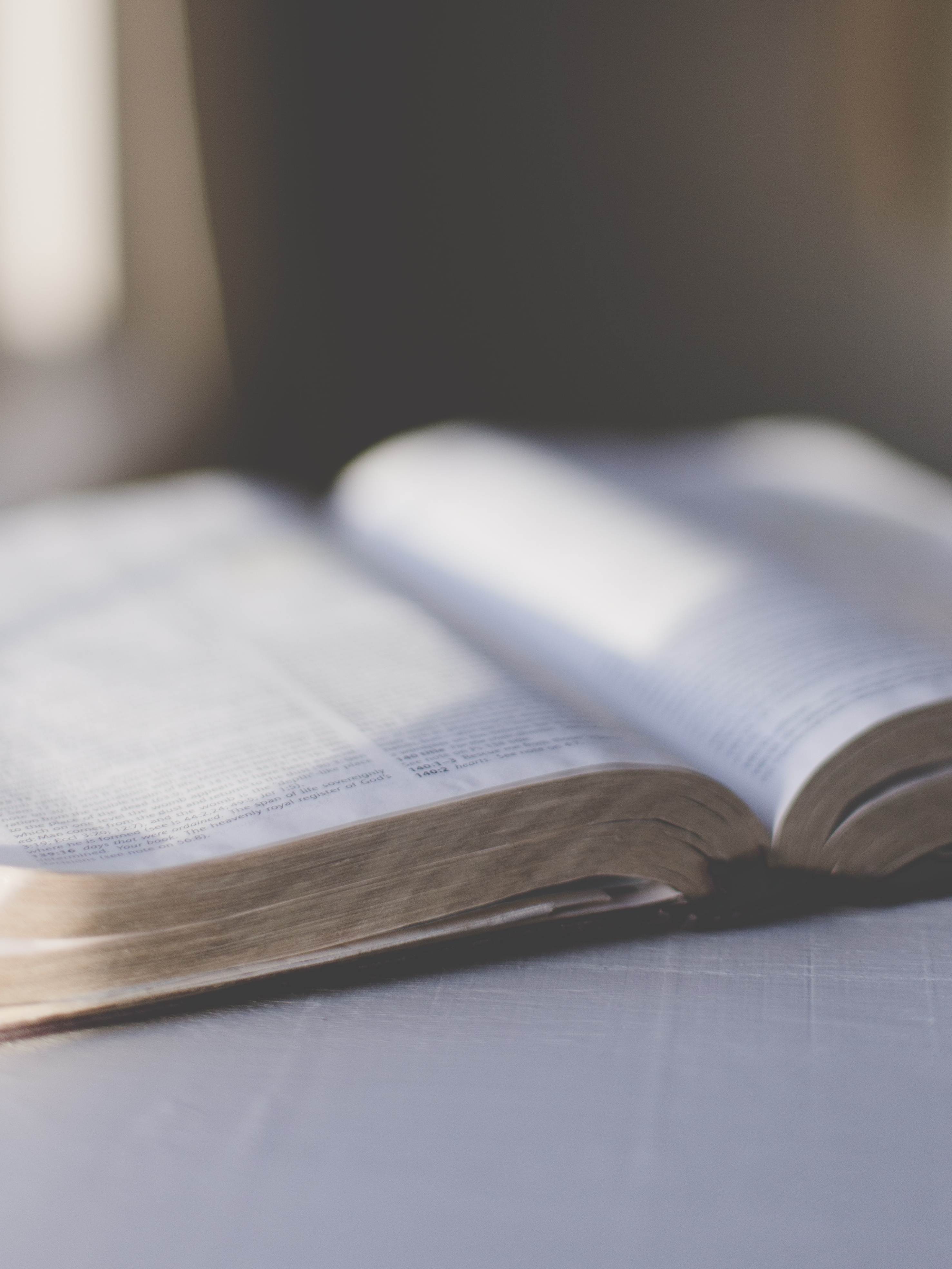 Aufgeschlagenes Buch, die Seiten sind unscharf zu erkennen. Das Licht fällt von links ein.